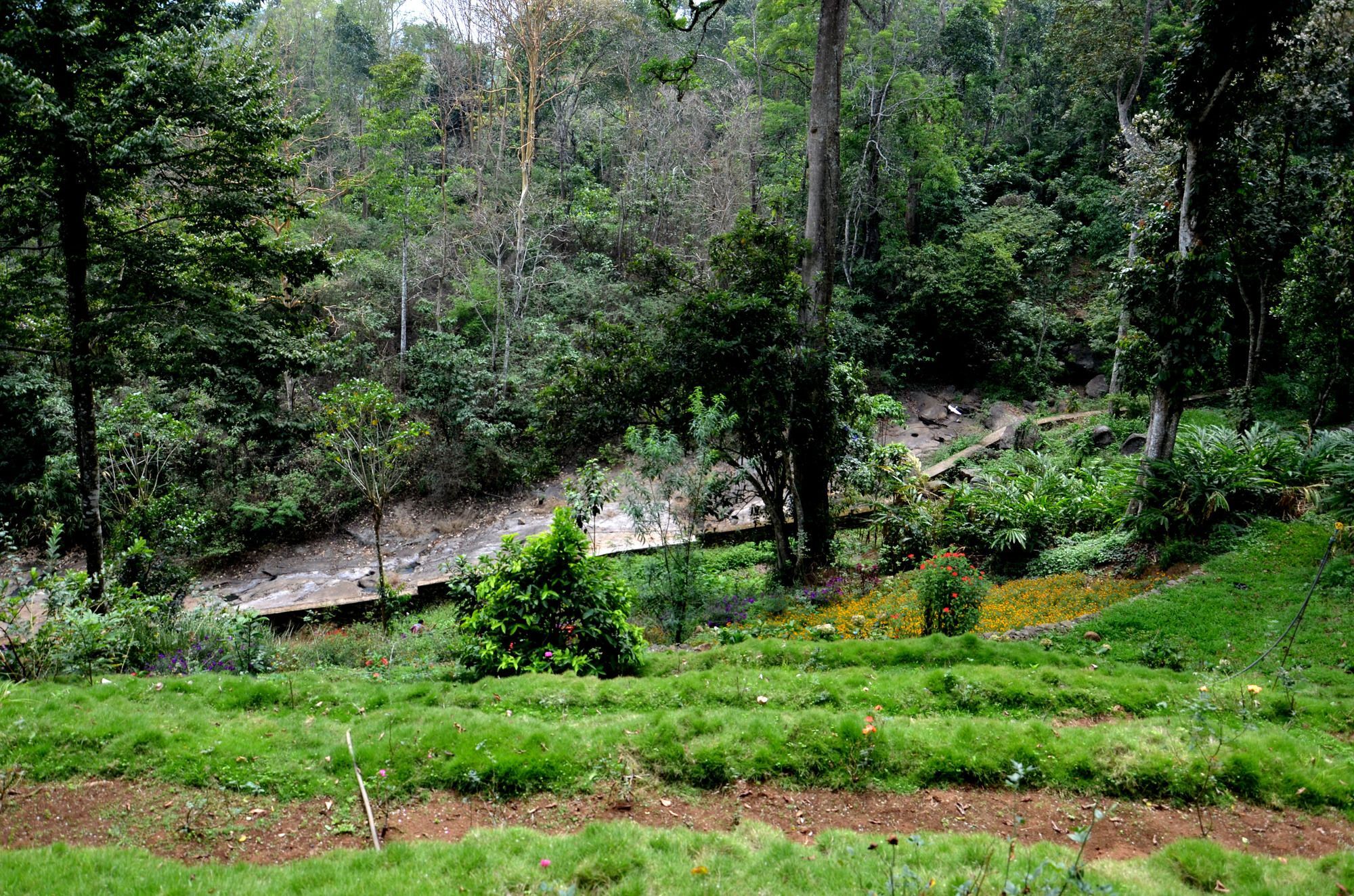 Bamboo Dale Hotel Munnar Buitenkant foto
